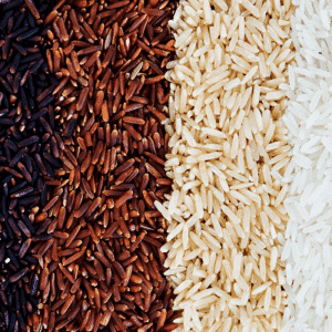 Rice